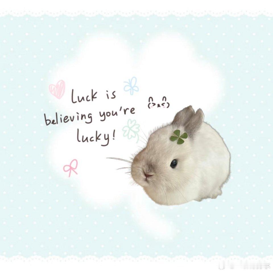 ⭒. 好運常在˖ .☘︎   rabbit…ᕱ⑅ᕱ  ྀ 