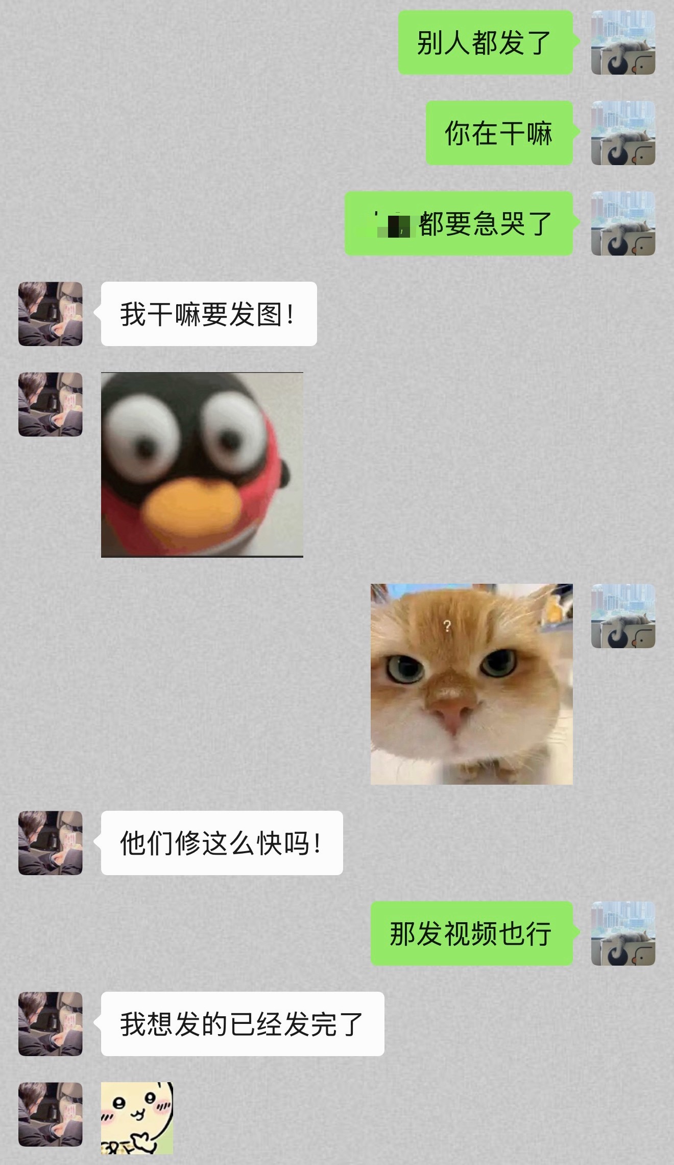 新站姐就这样仗着自己有设备在这气人😡 