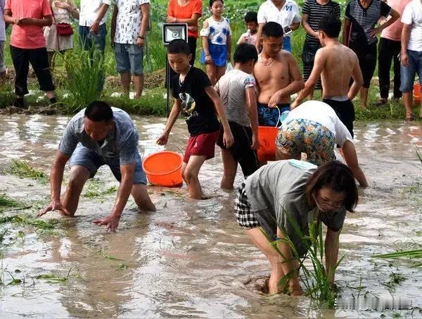 浑水摸鱼新解：
把水搅浑，鱼儿不能呼吸就会浮头，渔民轻而易举的抓到鱼了。
现在大