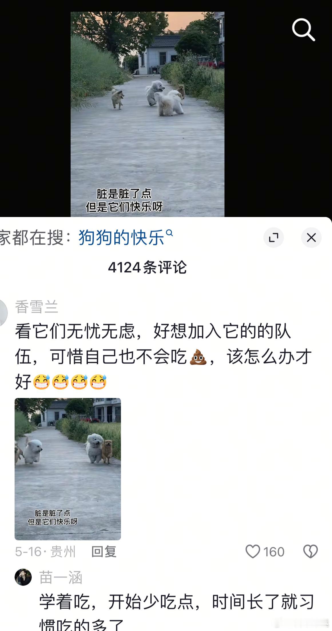 好想跟他们一起玩 又怕吃不了屎不合群这是多想快乐呀…… 