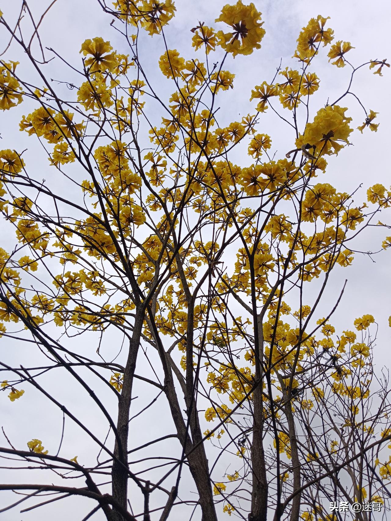 富裕了，更要节俭，但不是抠门。
 
1. 节俭不是穷出来的习惯，是稳日子的底气。