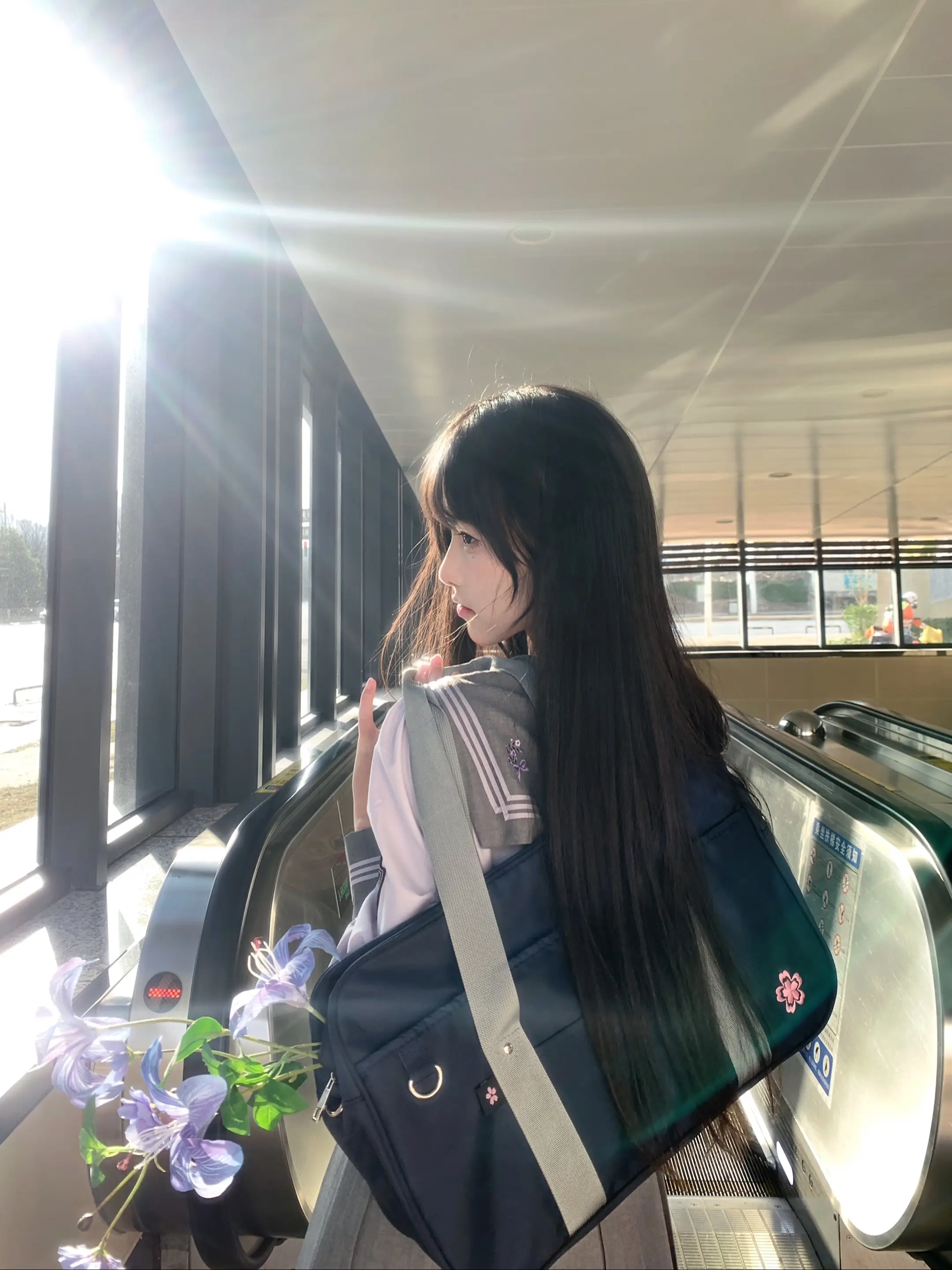 春天的花是冬天的梦