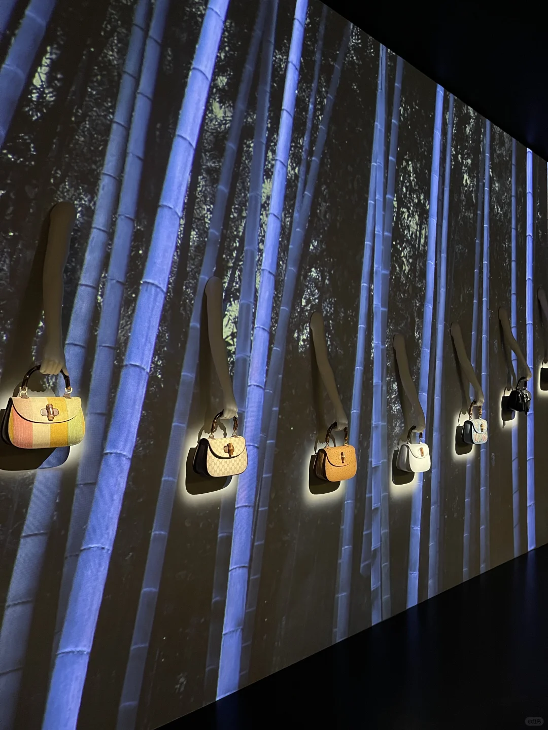 偶遇GUCCI日本60周年特展