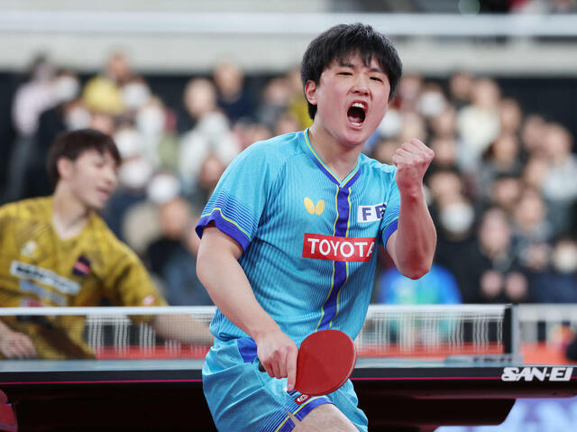 张本智和张本智和2026全日本乒乓球锦标赛新闻报道 20260124【全日锦】张