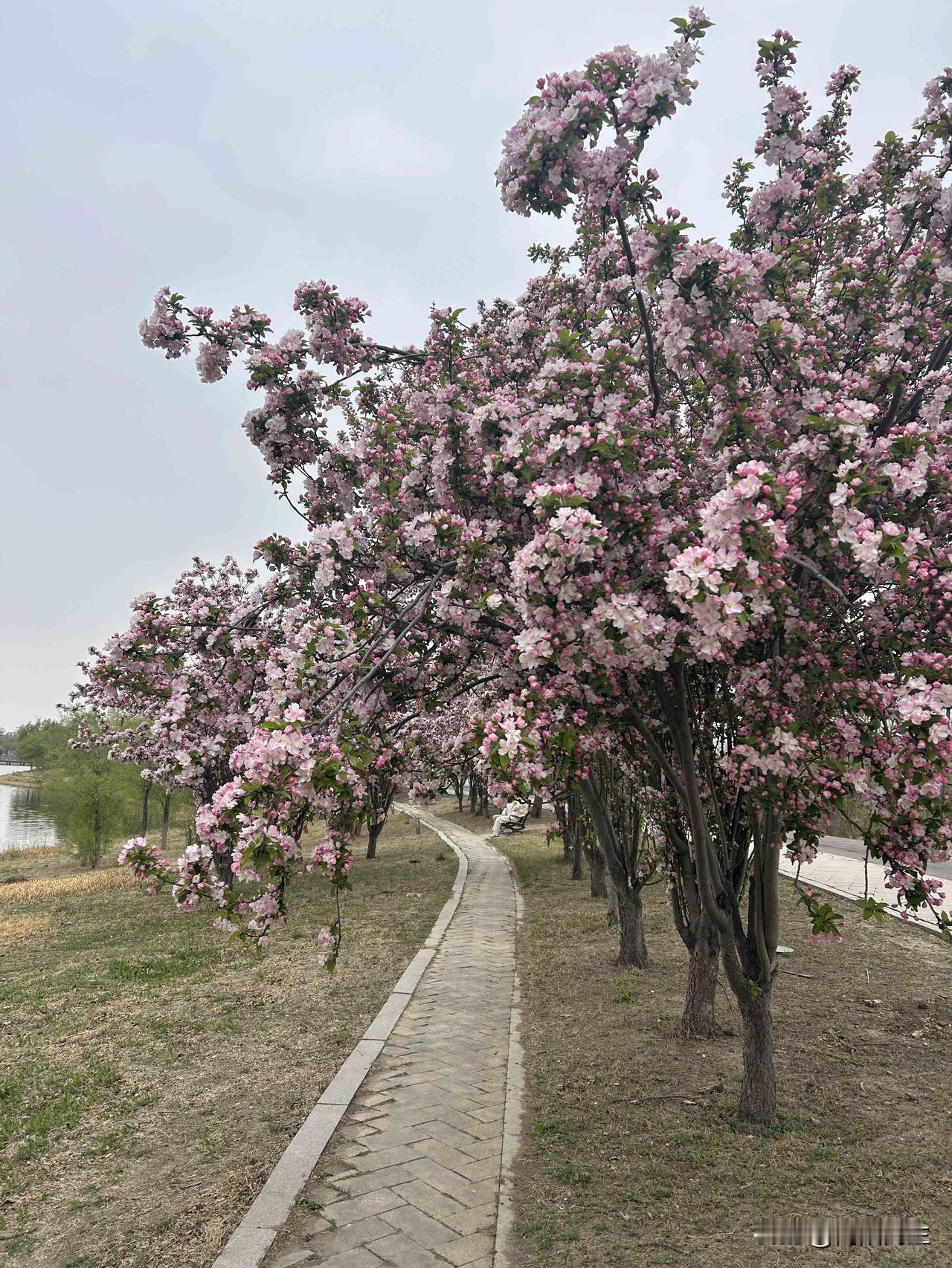 “我真的很孤独”。这是段睿在接受第一财经记者采访时说的话。

她说：“蔡磊走了，