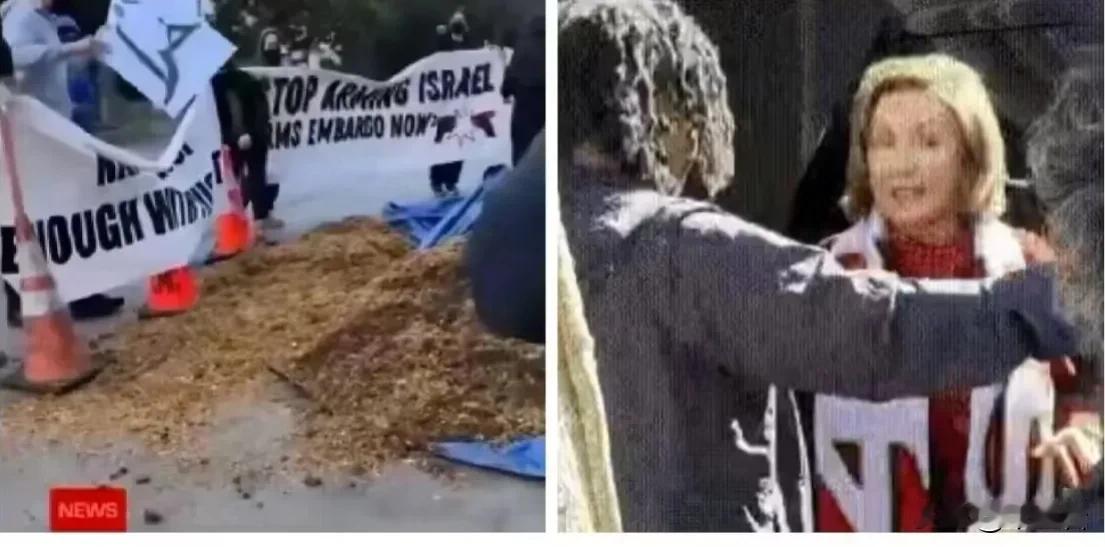 美丽风景线不光可以看，还可以闻呢？
佩洛西老太太应该很满意吧？
据说昨天在美国有