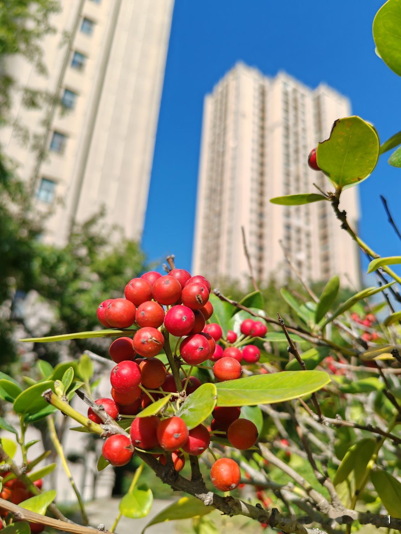 假期哪里人少？你想不到，真的想不到。

早上起床，拥抱太阳，今天天气真好。

看