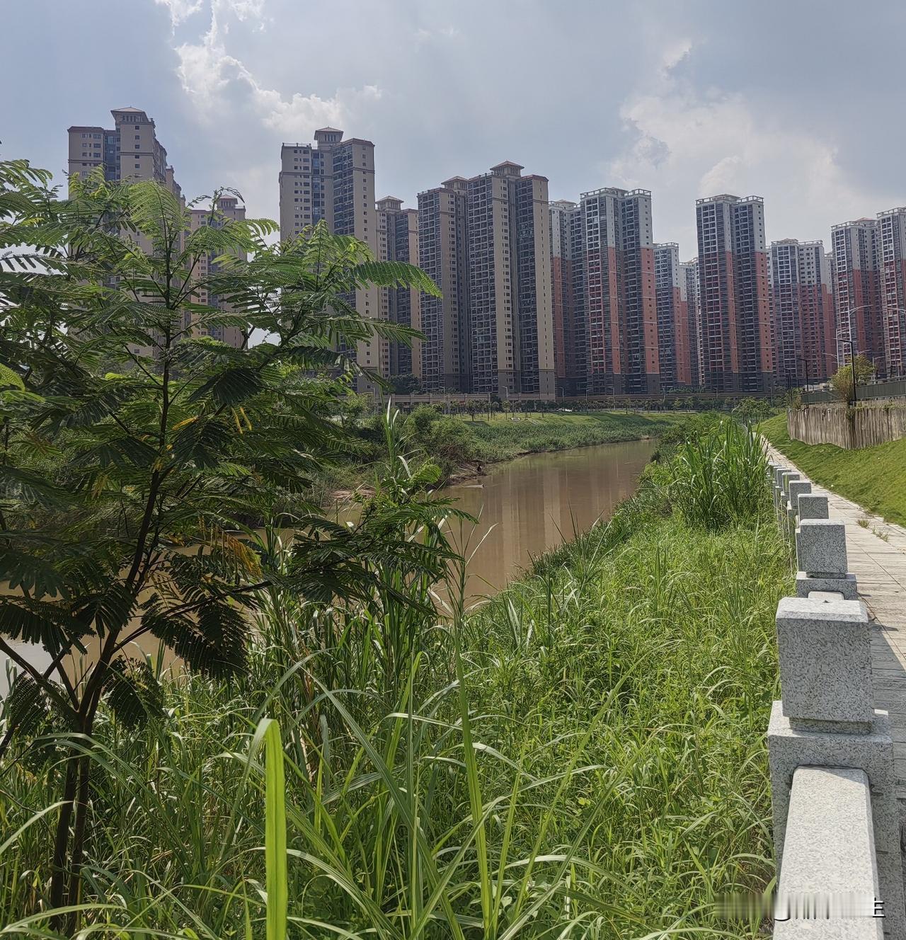 这鱼能不能吃，又该给谁吃……一连串问号在我脑海中盘旋。
     坪山河顺流而下
