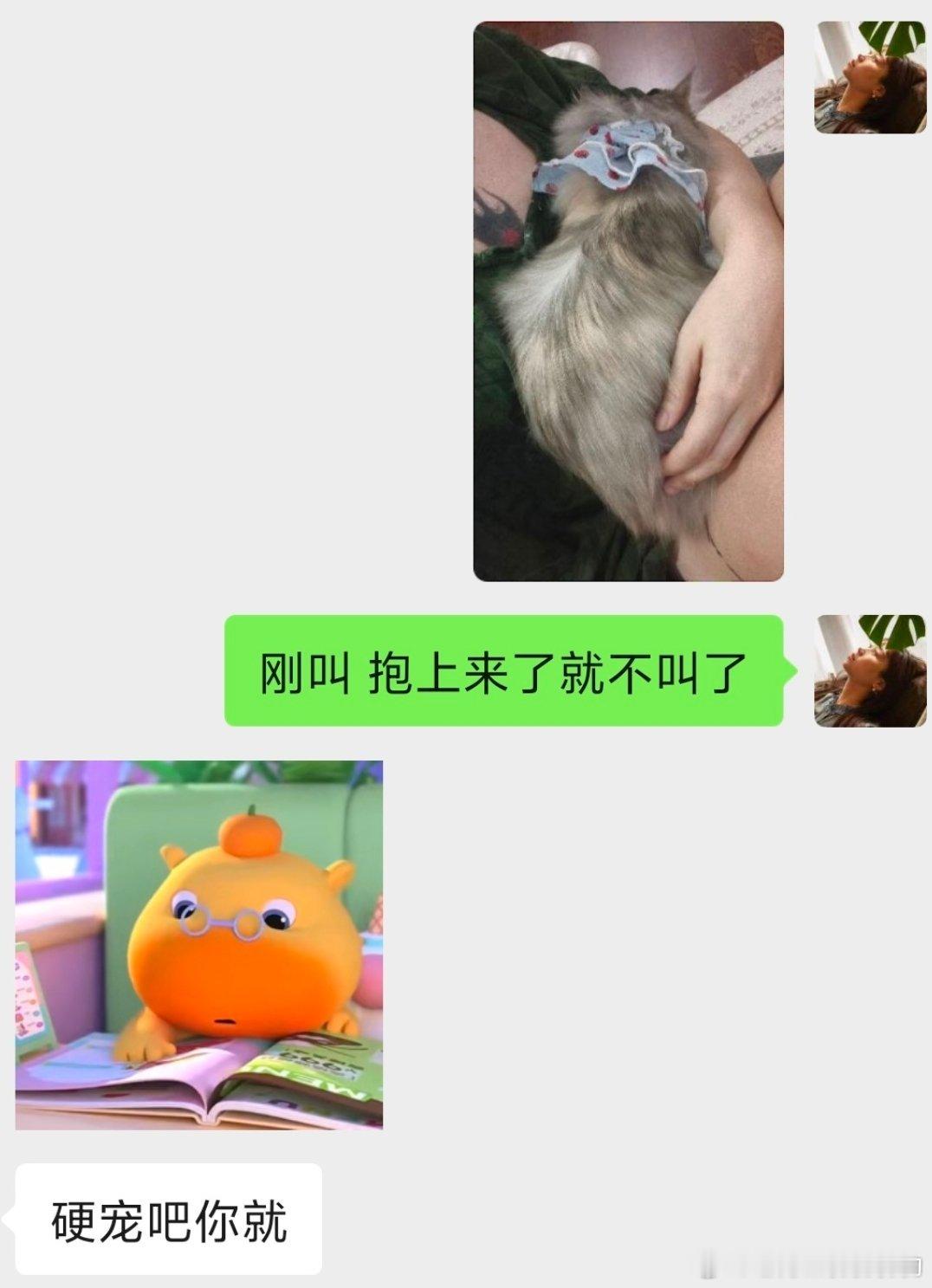 越来越会哄人了，还挺好。有烦心事跟他说，陪我一起骂人，晚上见面专门给我拎了小饼干