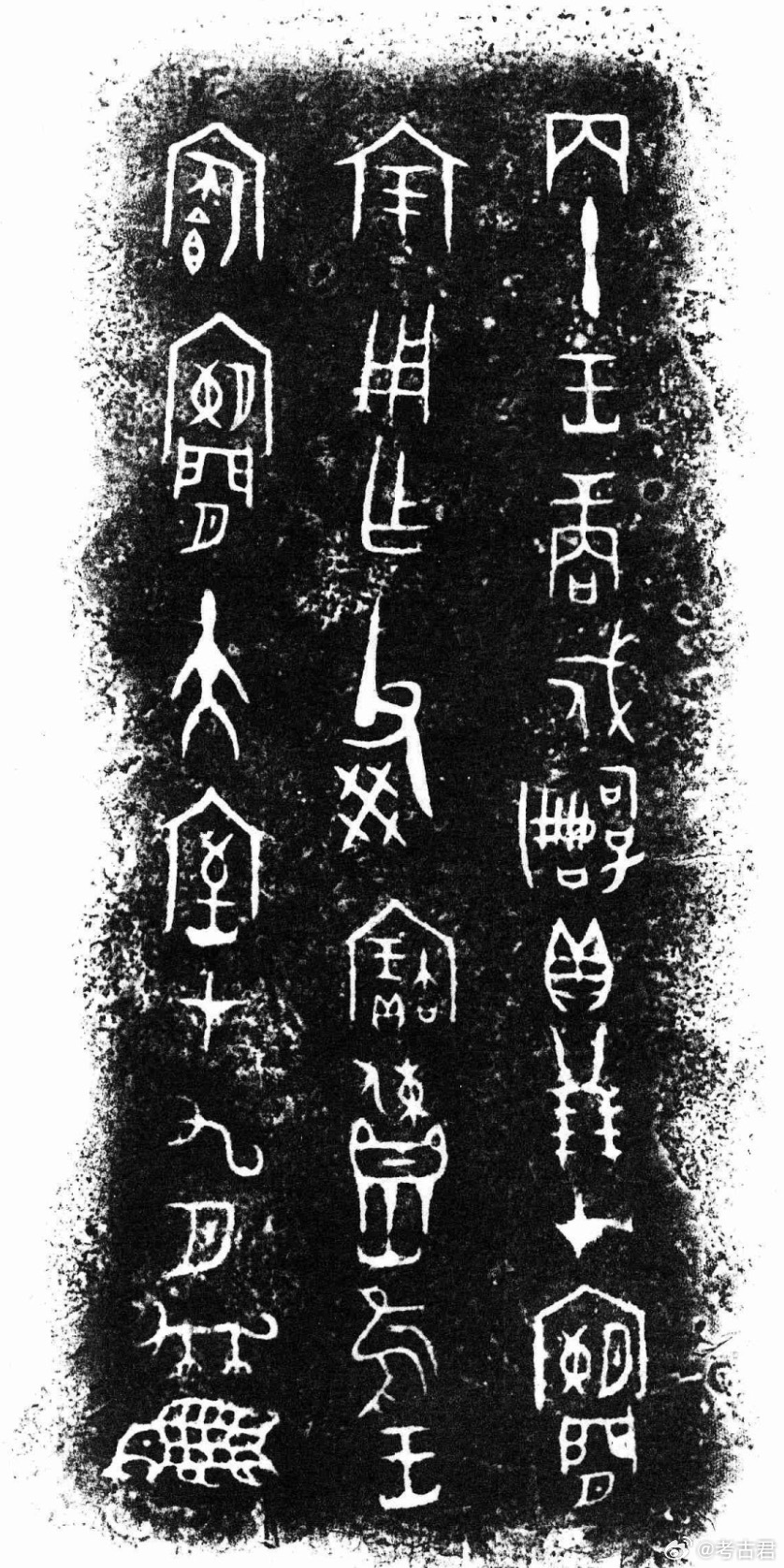 和文物碰个面三星堆金沙遗址 一枚小小的海贝，揭开古蜀与印度洋的交流密码！成都平原