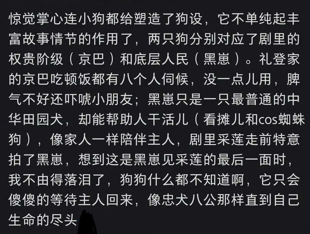 掌心连狗都有对照组 好牛的隐喻 