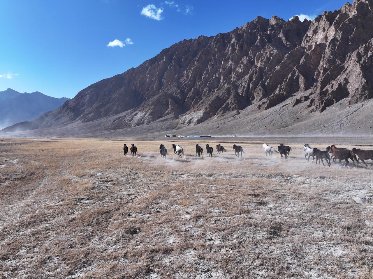 第一次在阿里吃到“老人耳朵”，太有藏味了！

在西藏阿里，有一种美食叫“米跟安觉