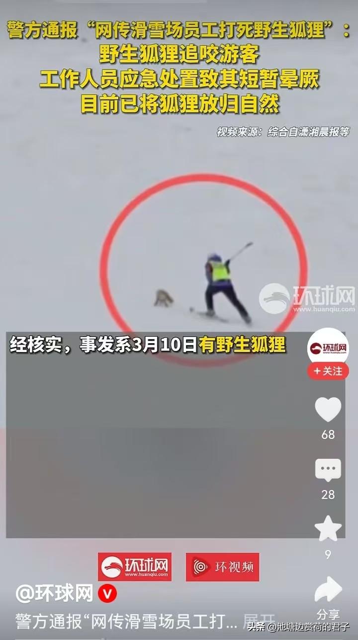 滑雪场员工打死野生狐狸？警方辟谣 最近“滑雪场员工打死野生狐狸”的事儿闹得沸沸扬