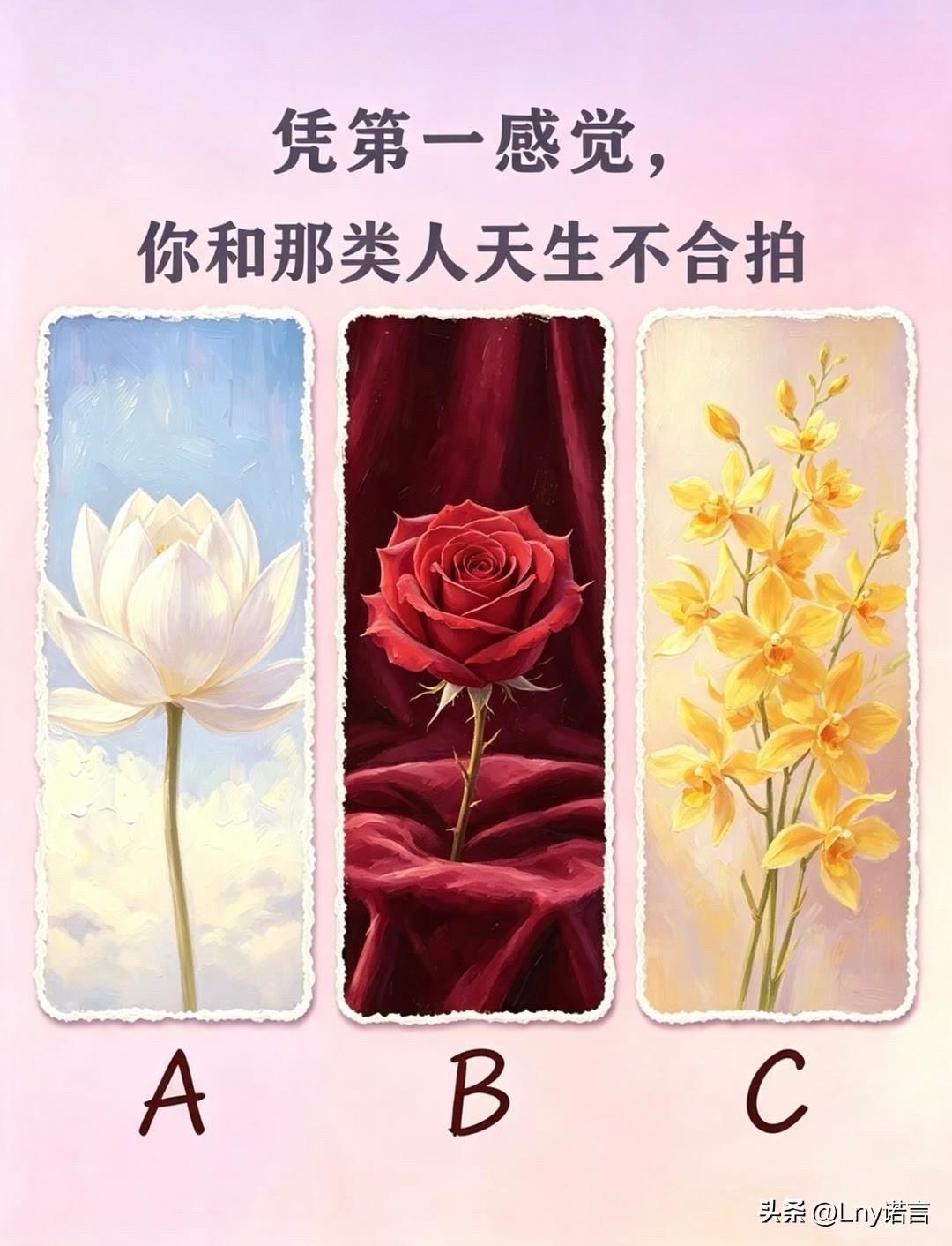 你和那类人天生不合拍