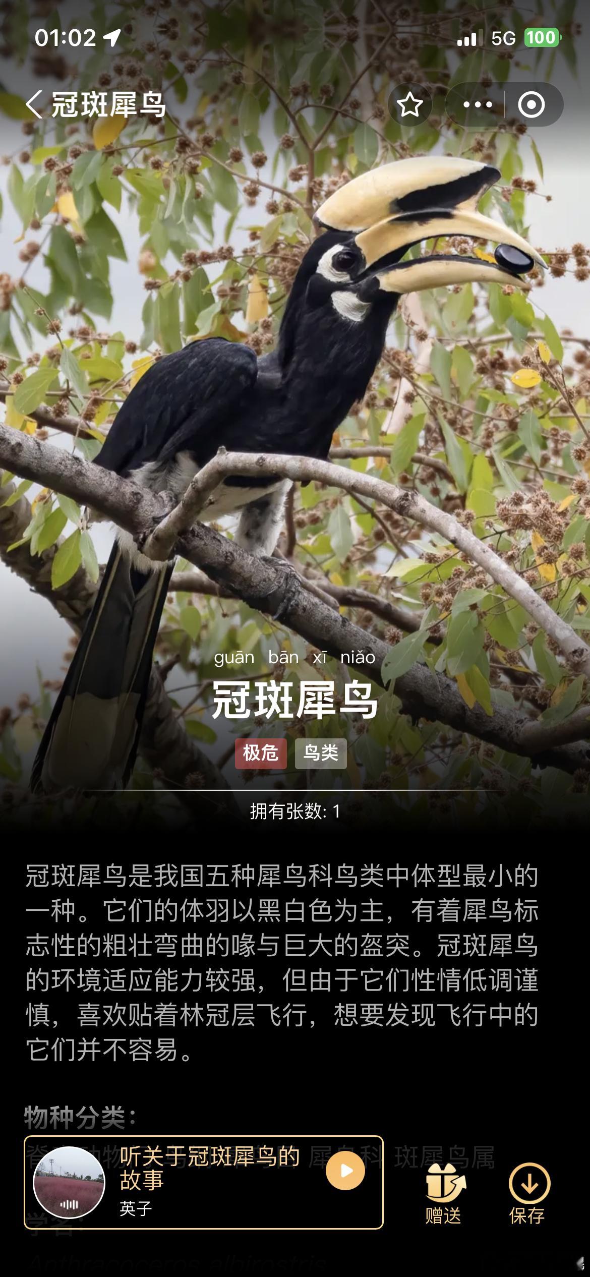 忘记说了，蚂蚁森林这张是我的图哦[彩虹屁]文案是我对象写的哦[彩虹屁] ​​​