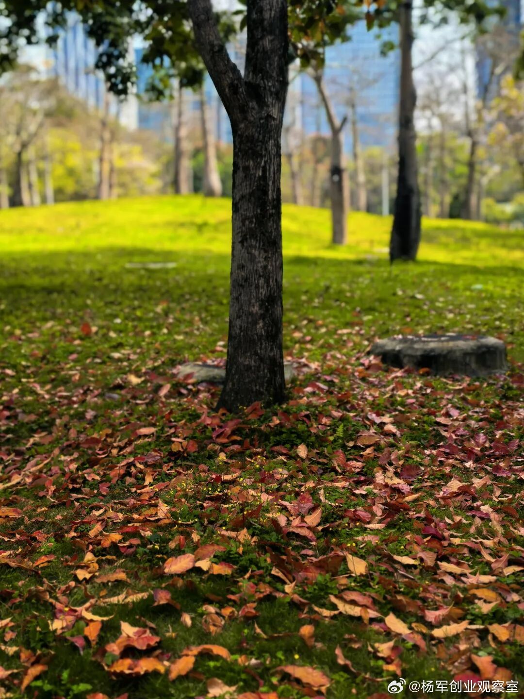 融资方如果跟投资人签对赌：要守住优势，更要避开三大暗坑专业不对等、心态易急躁是致