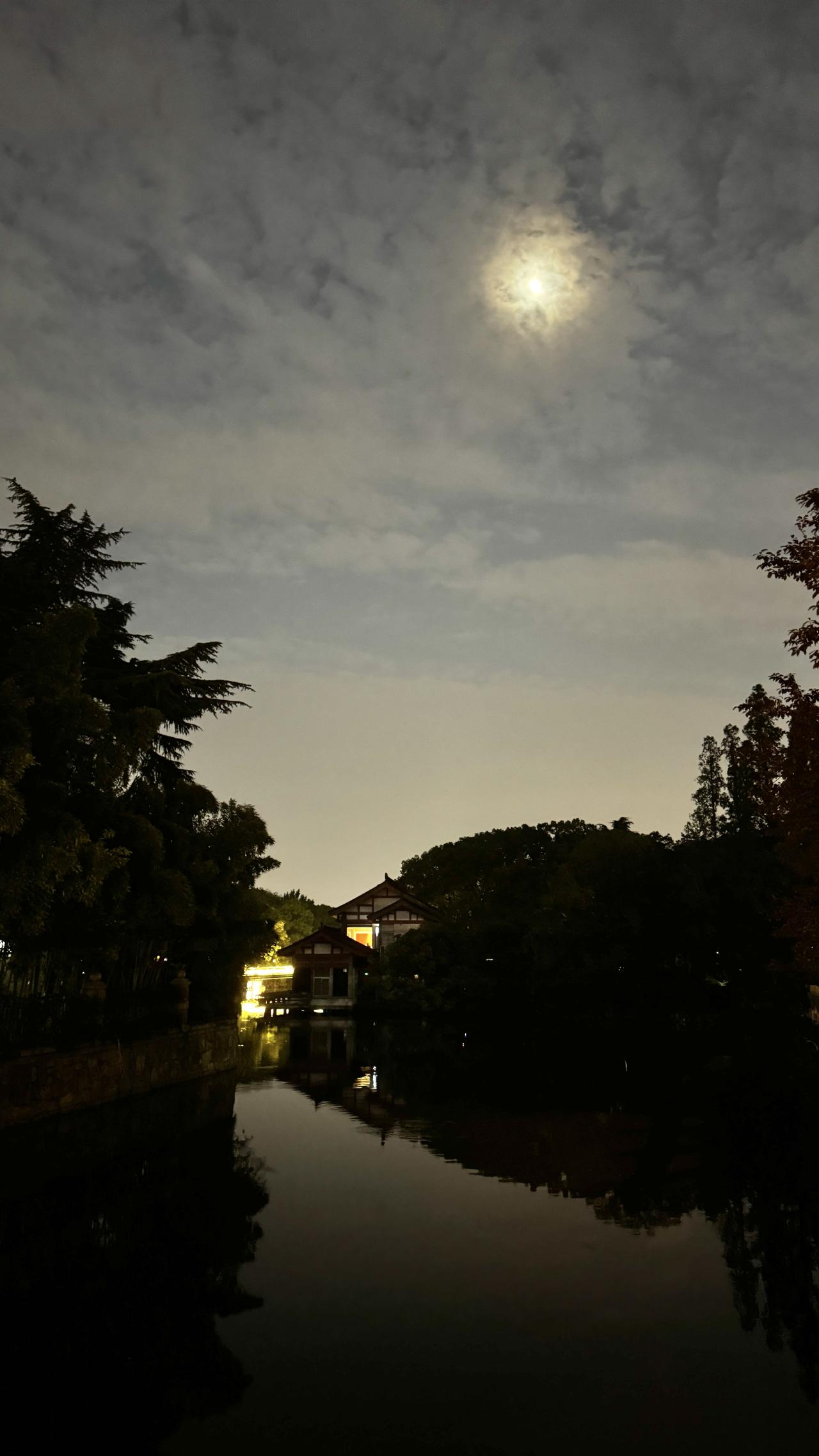 晒一晒用手机拍摄的照片夜晚的湖边，月光如水，景色宁静。