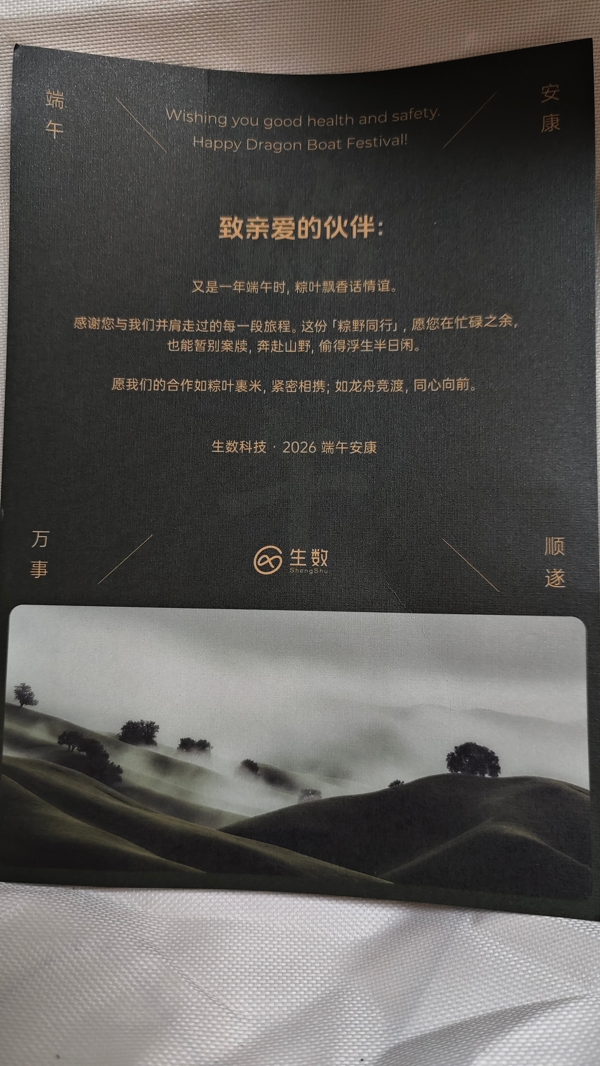 感谢生数科技，收到了好大一份的端午礼盒，太适合出去野营了！vidu﻿德里克文