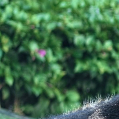 1900见过花开就好了，何必在意花落谁家，又何必在意为谁而开，至少有一刻你闻到了