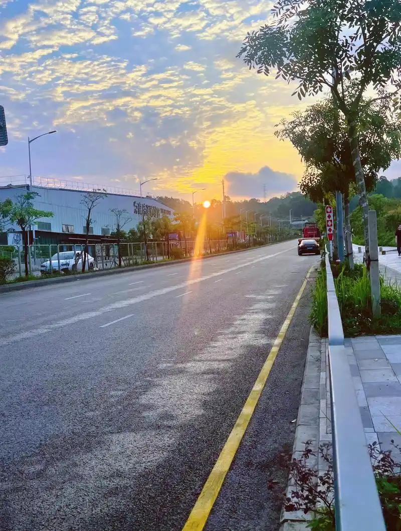 山东一位三十四岁大姐大清早出门打扫街道，忽然听到路边绿化带里传来微弱的哼哼声响。