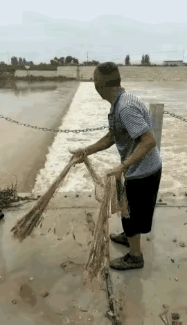 撒了一辈子的网，不知道新买了多少次～😁