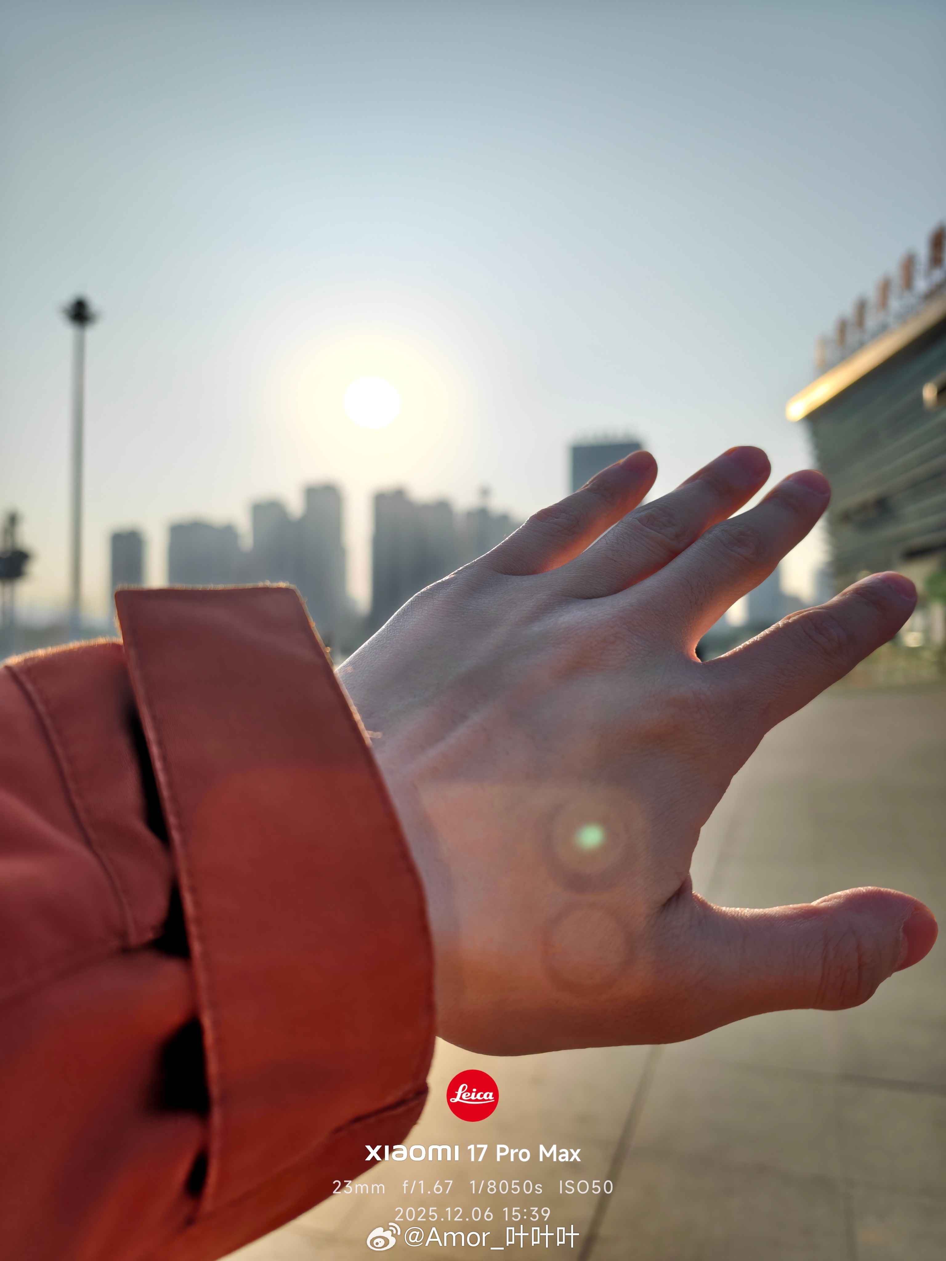 逆光之王这一块/。 