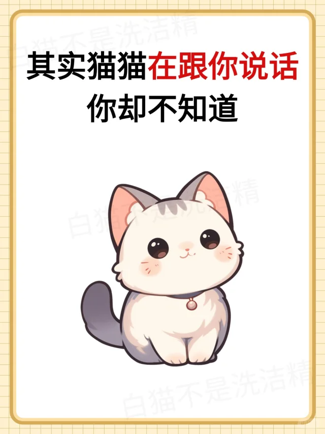 养猫必看！8 种猫叫暗语速查表🐱