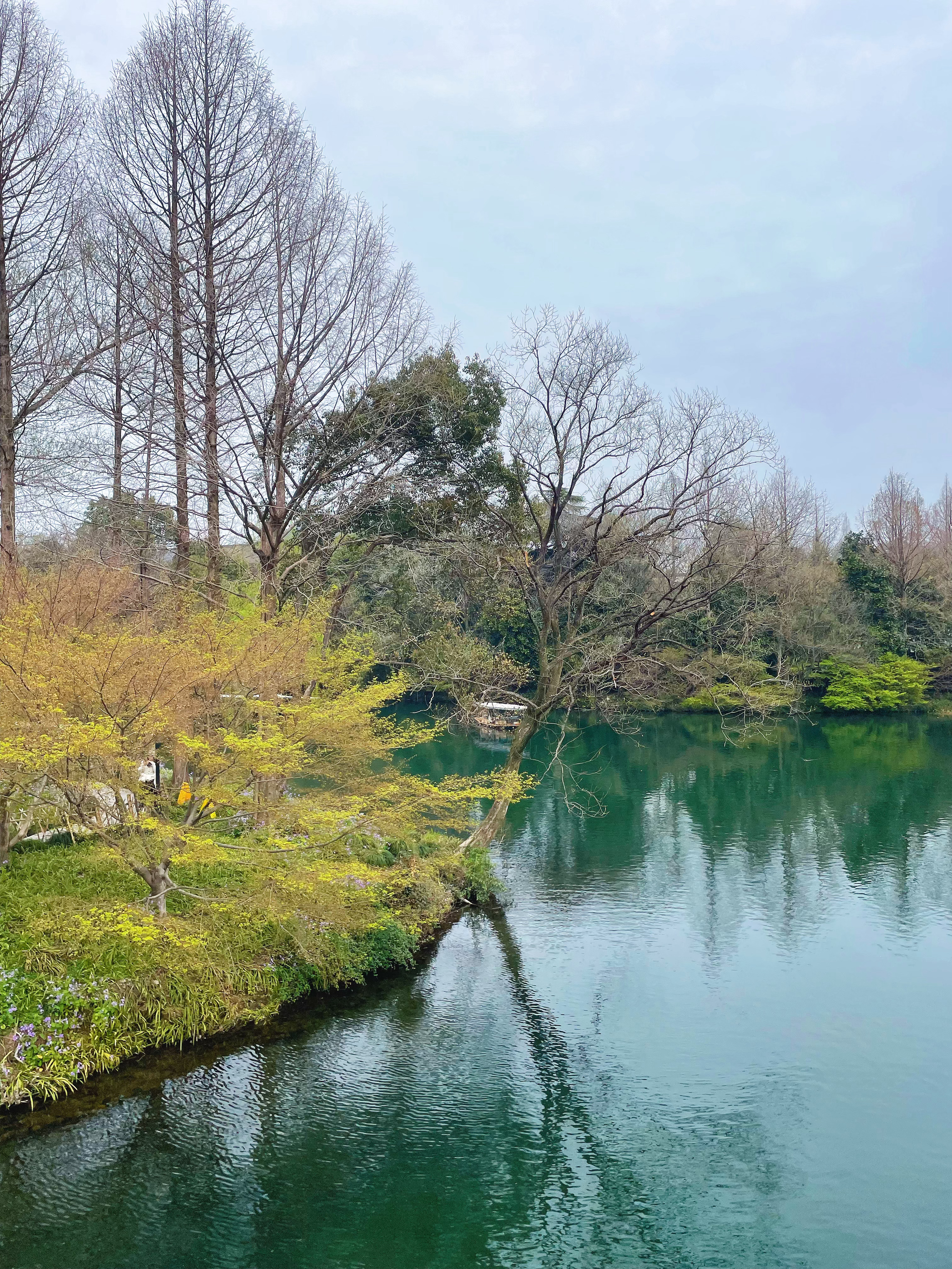 很多人对于西湖的理解，是小红书和抖音上用大滤镜和后期堆砌出来的“人间仙境”，然后