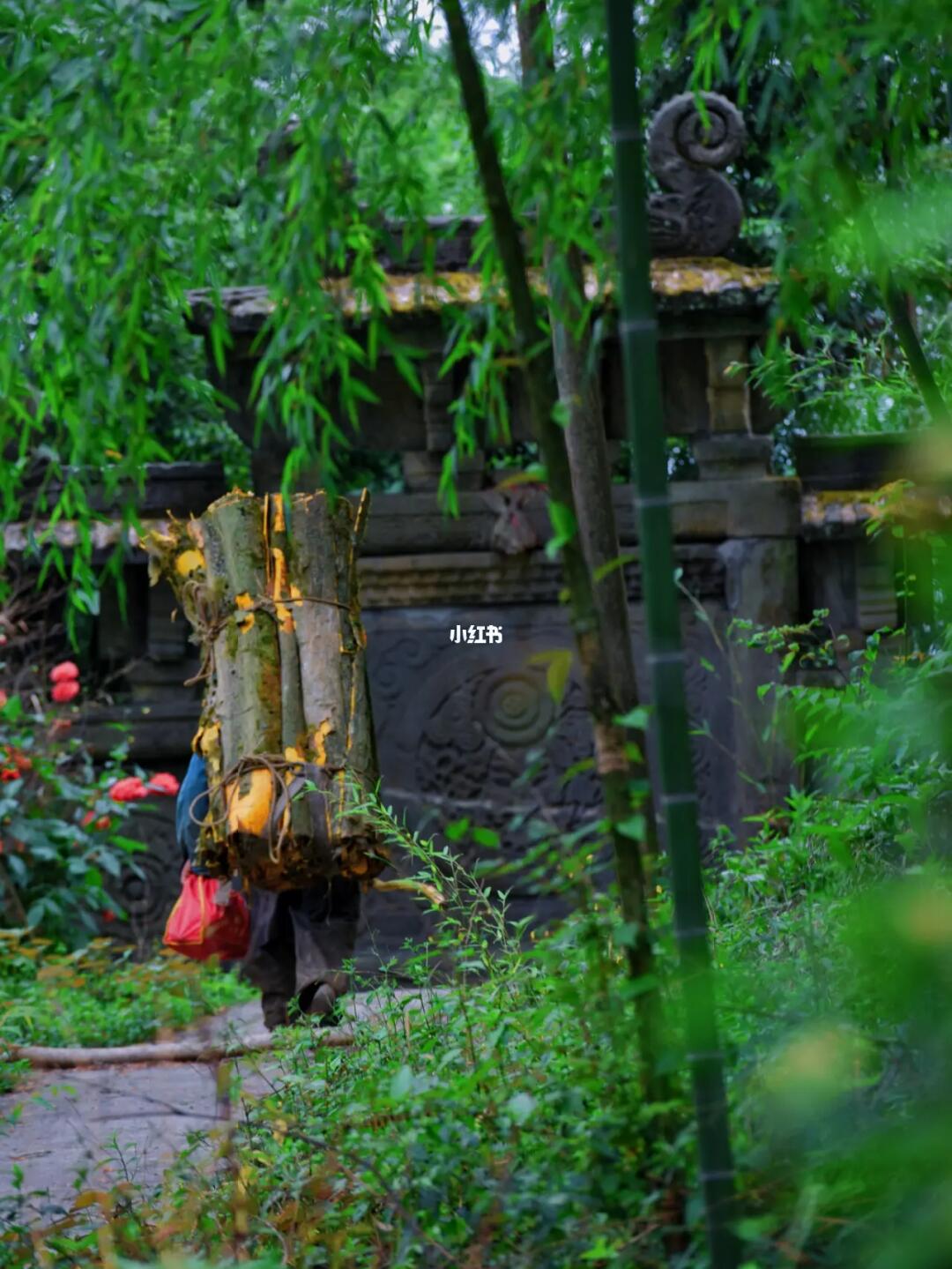 成都清凉登山|遗失的明代雾山佛国遗迹