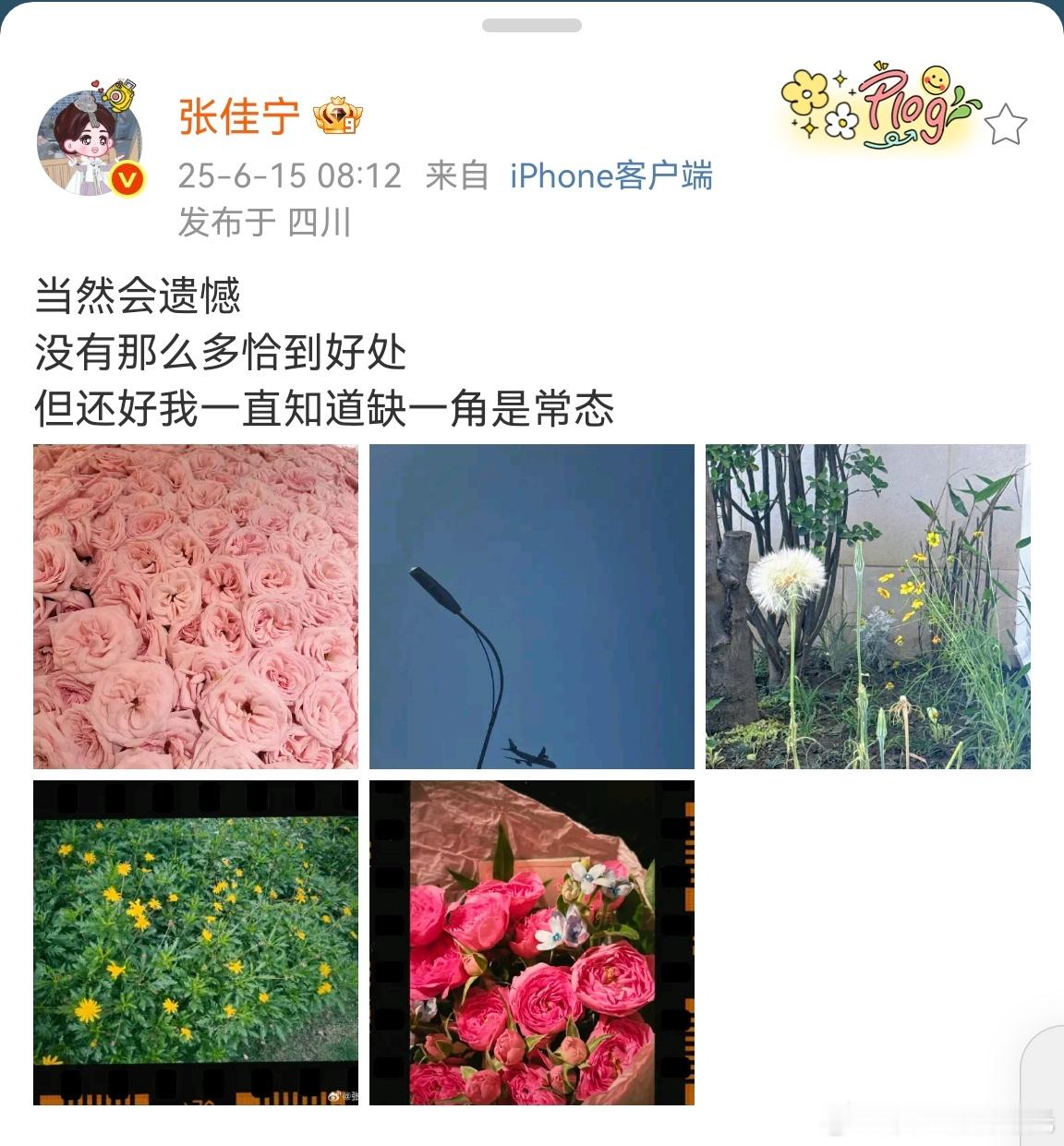 张佳宁怎么了张佳宁一直知道缺一角是常态 张佳宁怎么了？ ​​​