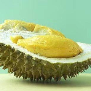 #不建议湿热体质的人吃榴莲#进入五月后，迎来了成熟季的榴莲开始大量上市。与此同时