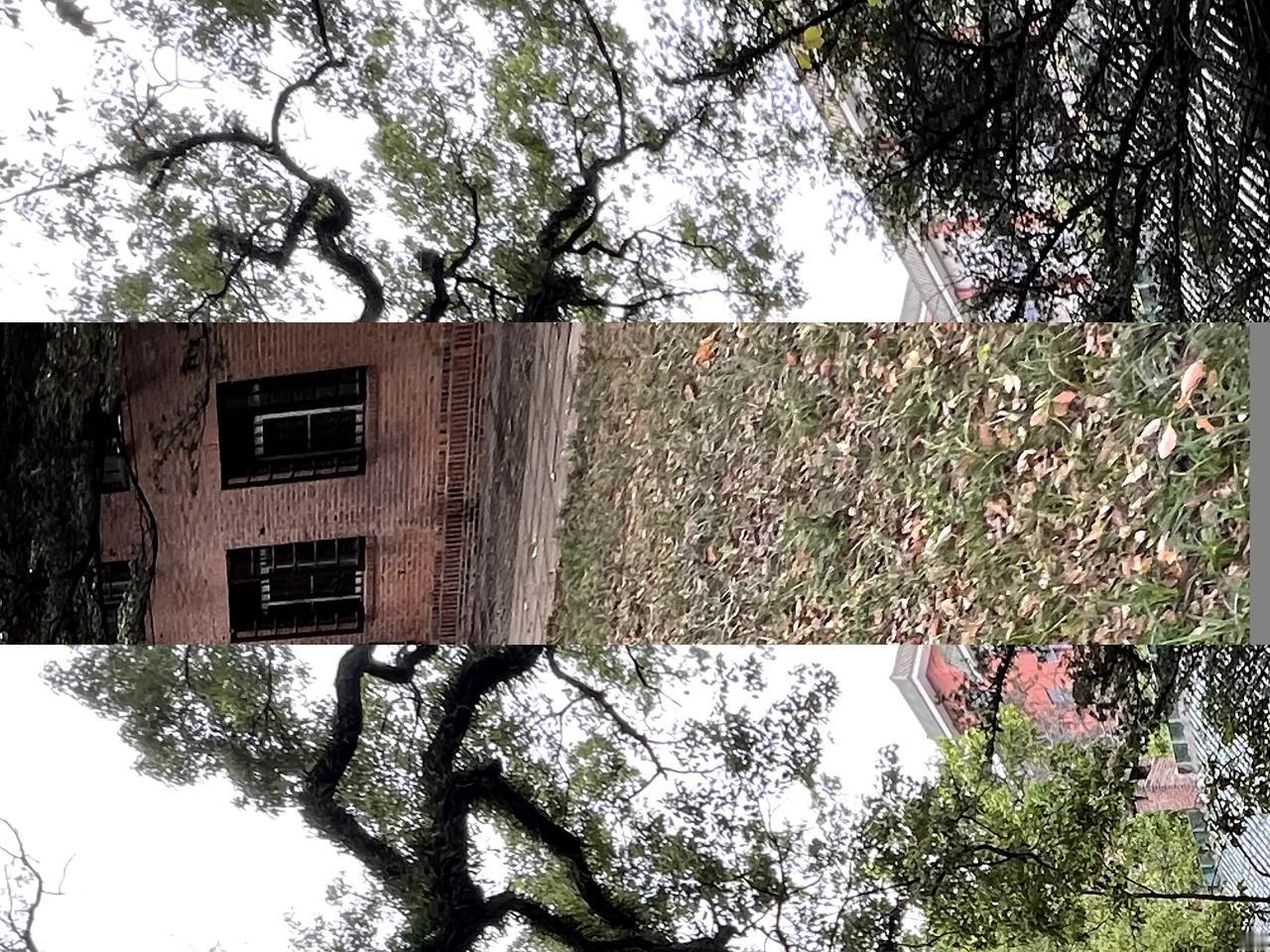 周六去了中山大学南校区，环境还不错，就是食堂太难吃了，一点多去的时候很多档口都关