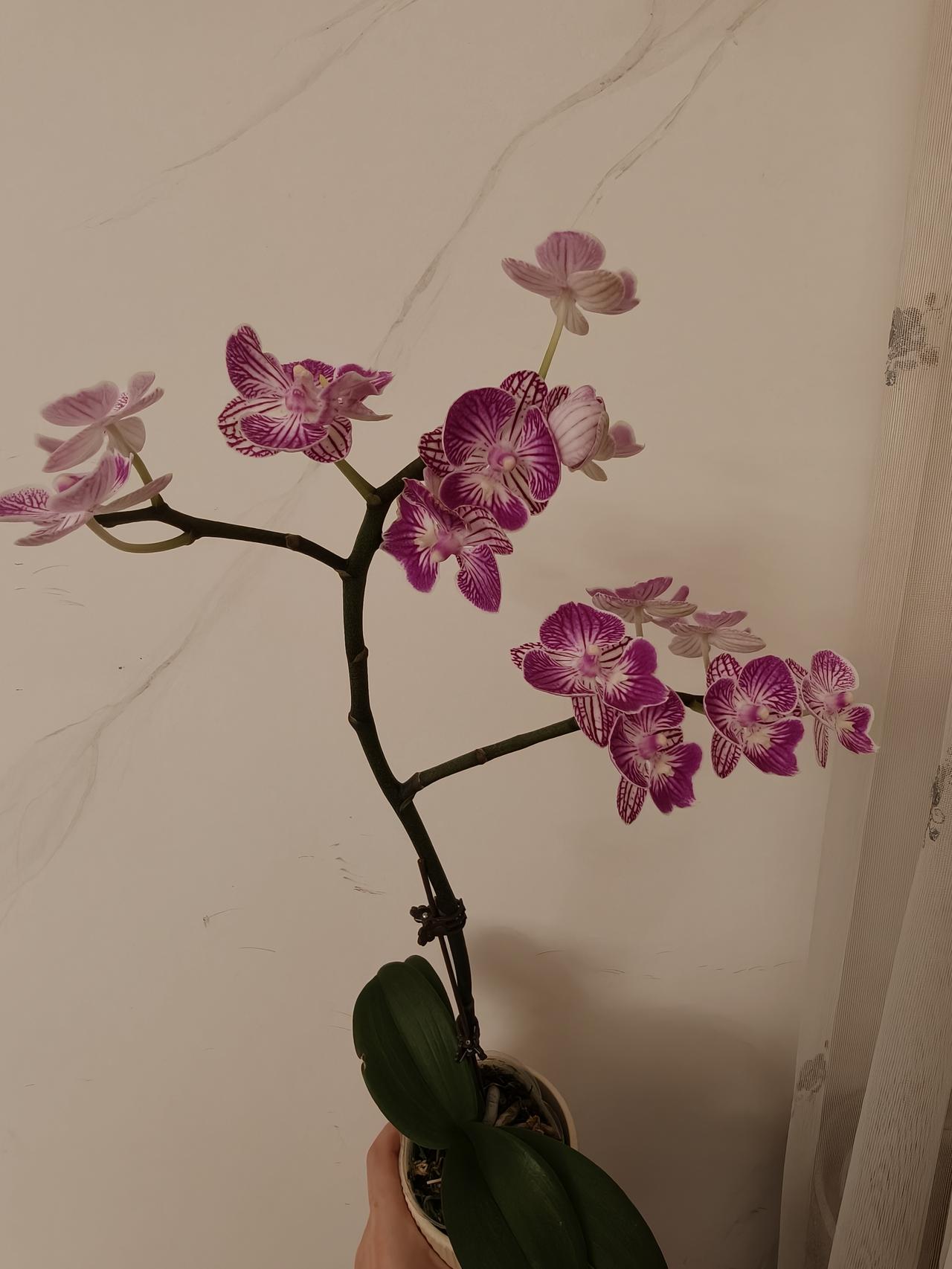我爱我的儿媳，她虽懒却赢了全家人的心
我家儿媳进门四年，从来没洗过一次衣服，也没