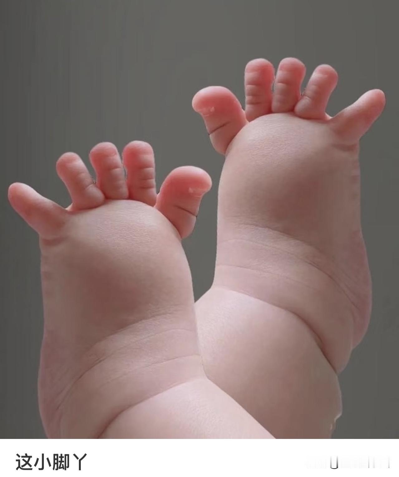 晒出你最好看的国画作品