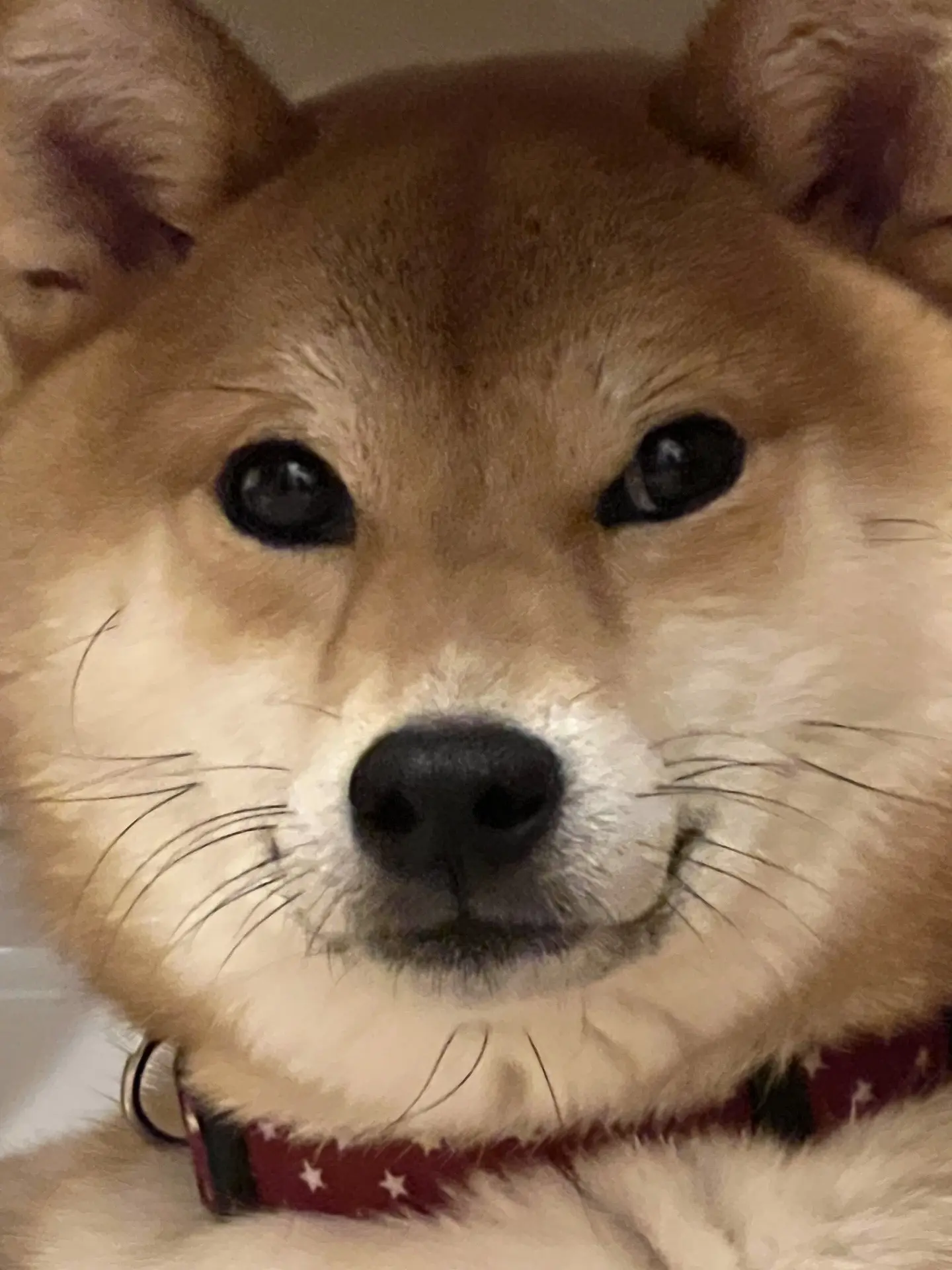 表情包生产大户