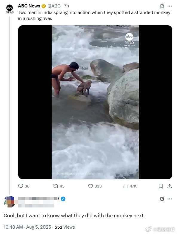 美媒近日发布了一段视频，说印度两名男子在湍急的河流中发现一只被困的猴子，立即跳入