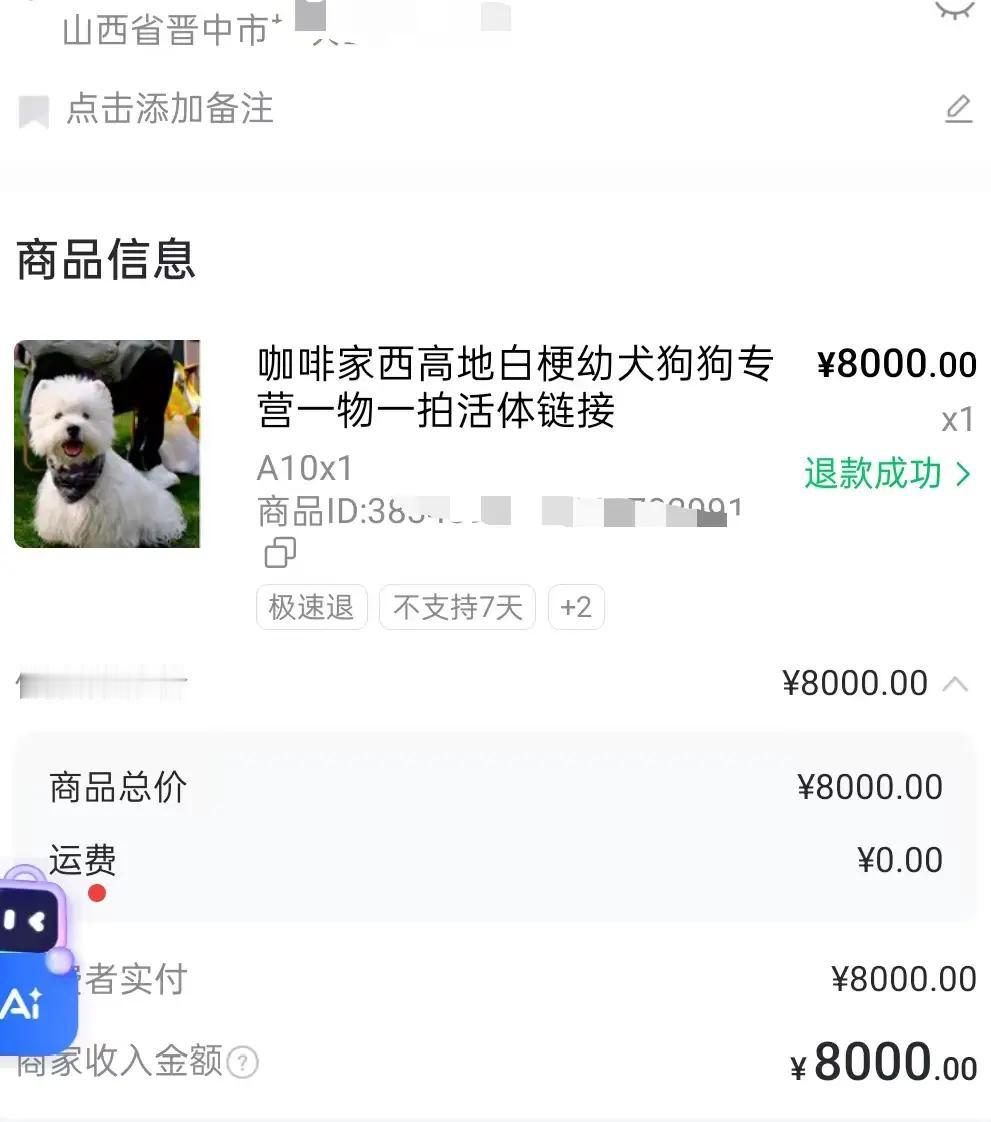 山西晋中，一位顾客花费8000元网购了一只西高地犬，没想到仅仅6天，就发生了一件