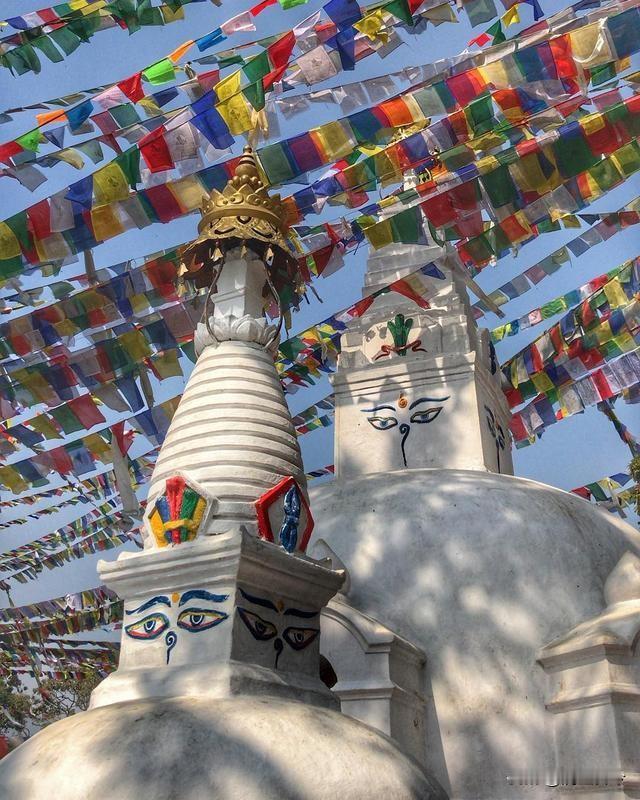 当地时间1月30日，美国国务院下令非紧急政府雇员及其家属从尼日尔撤离，这事儿还挺