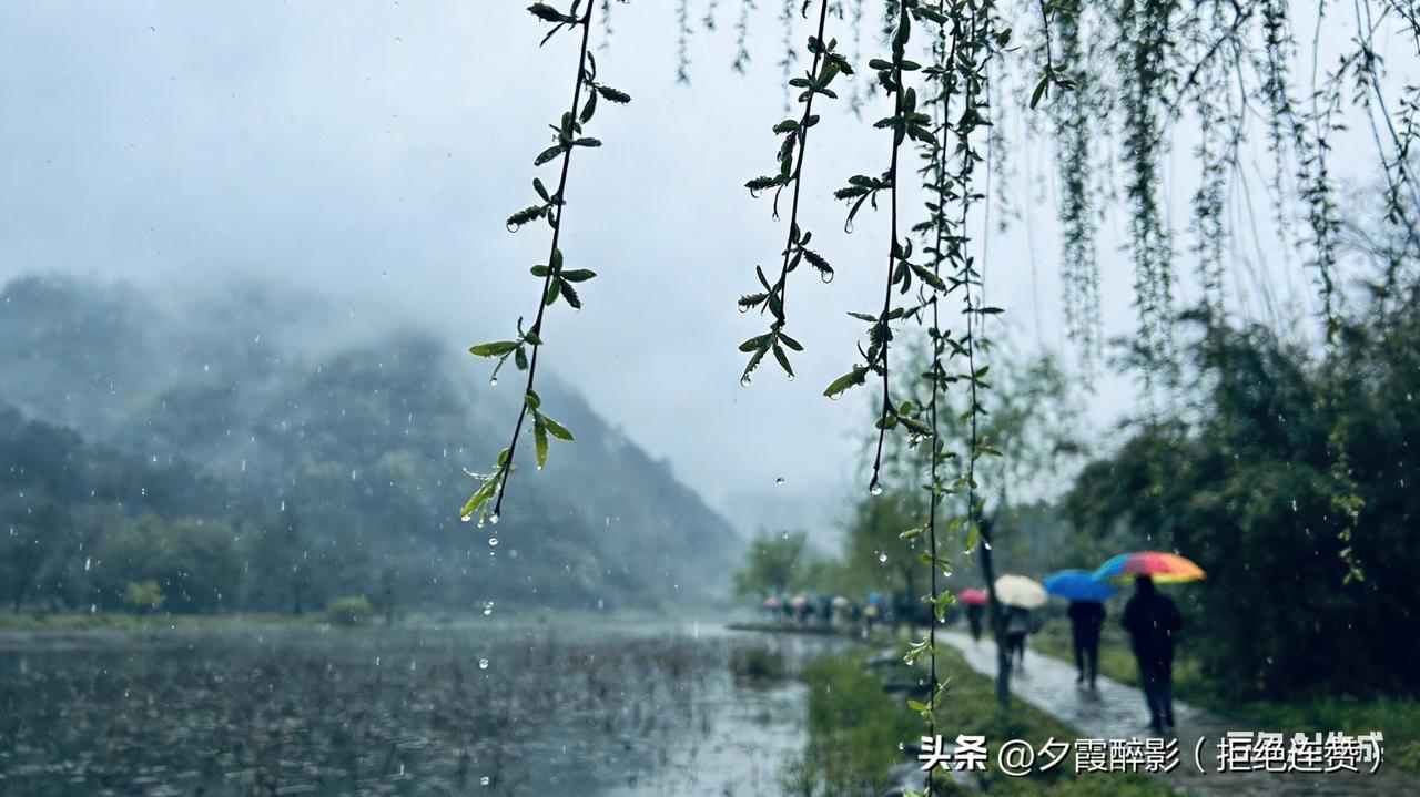 窗雨听诗，共饮千年春雨意
 
倚栏隔窗听雨声，淅淅沥沥敲碎了时光，也敲开了唐诗宋