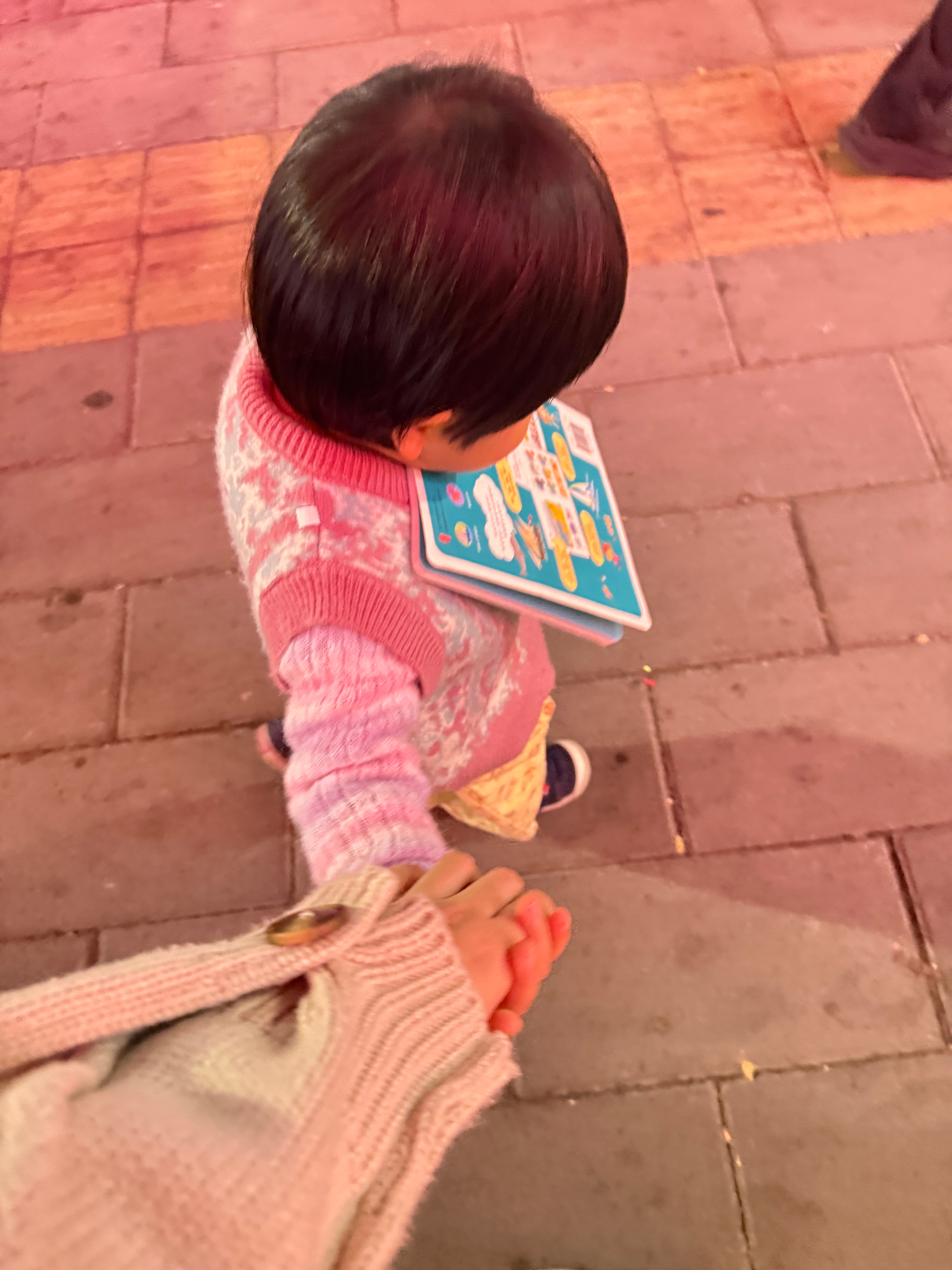 出门时候拿了最爱的海洋百科，走在路上一会儿想牵我一会儿想牵旅蛙又要拿书，左右为难