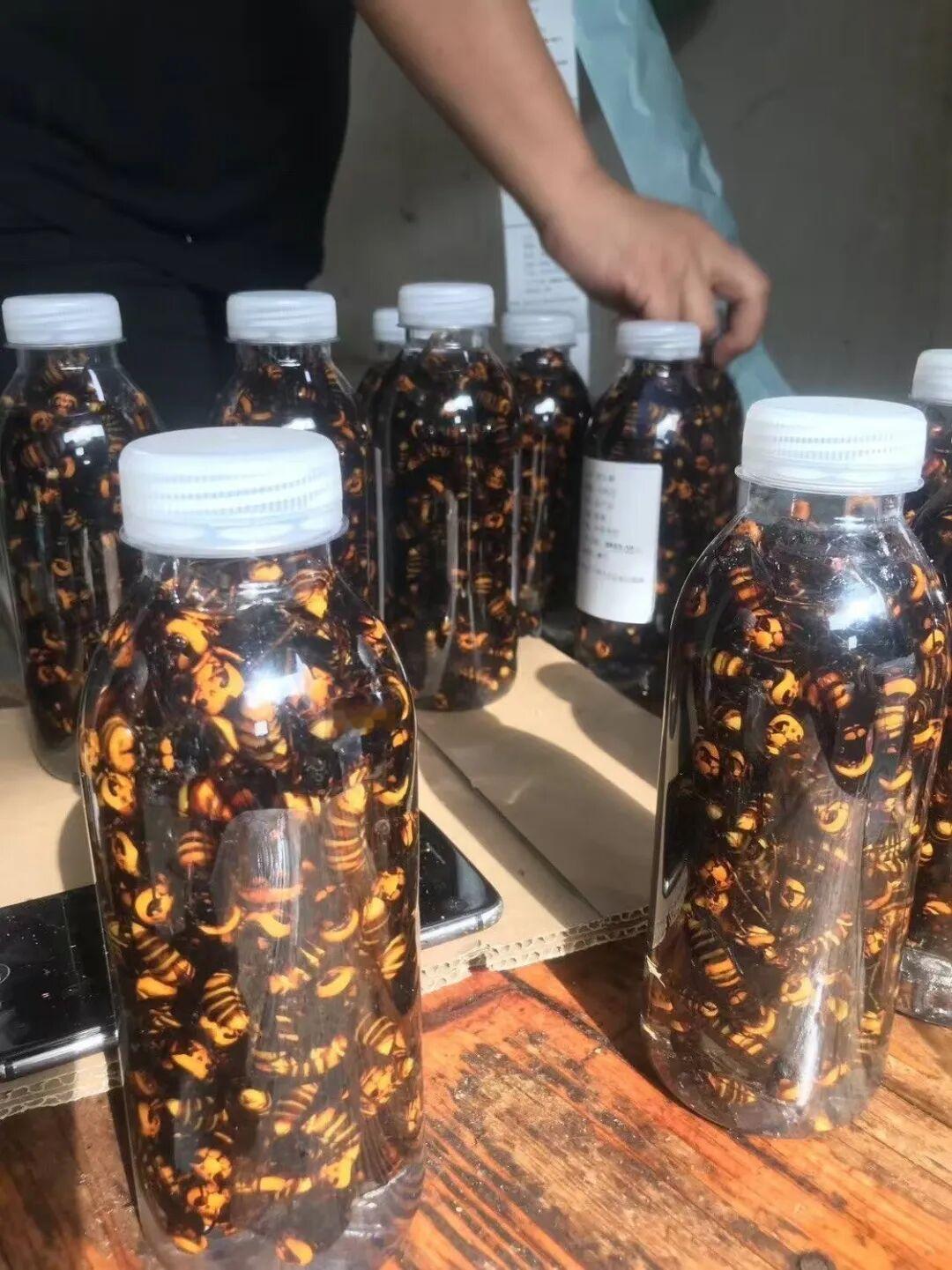 活毒蜂泡酒乱象经监管整治后，多平台已下架相关产品，但仍有商家换“马甲”售卖并宣称