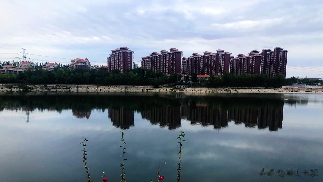 生活的理想其实是理想的生活！#每日金句打卡#