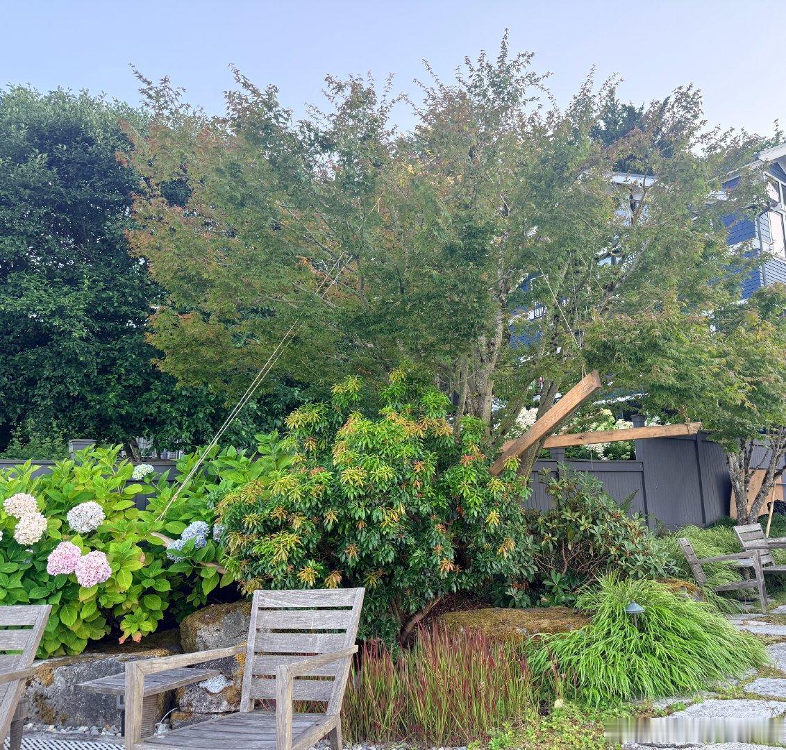 去朋友家的湖景大house里吃海鲜聊天。家家都有自己的码头和船。她们最近正打算换