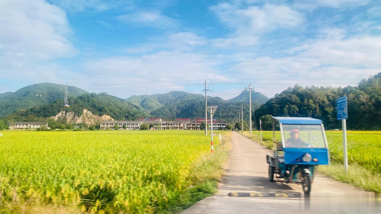 人间有风景很美，今天走在小时候去往外婆家的路上，没有了往日的期盼与喜悦。走在儿时