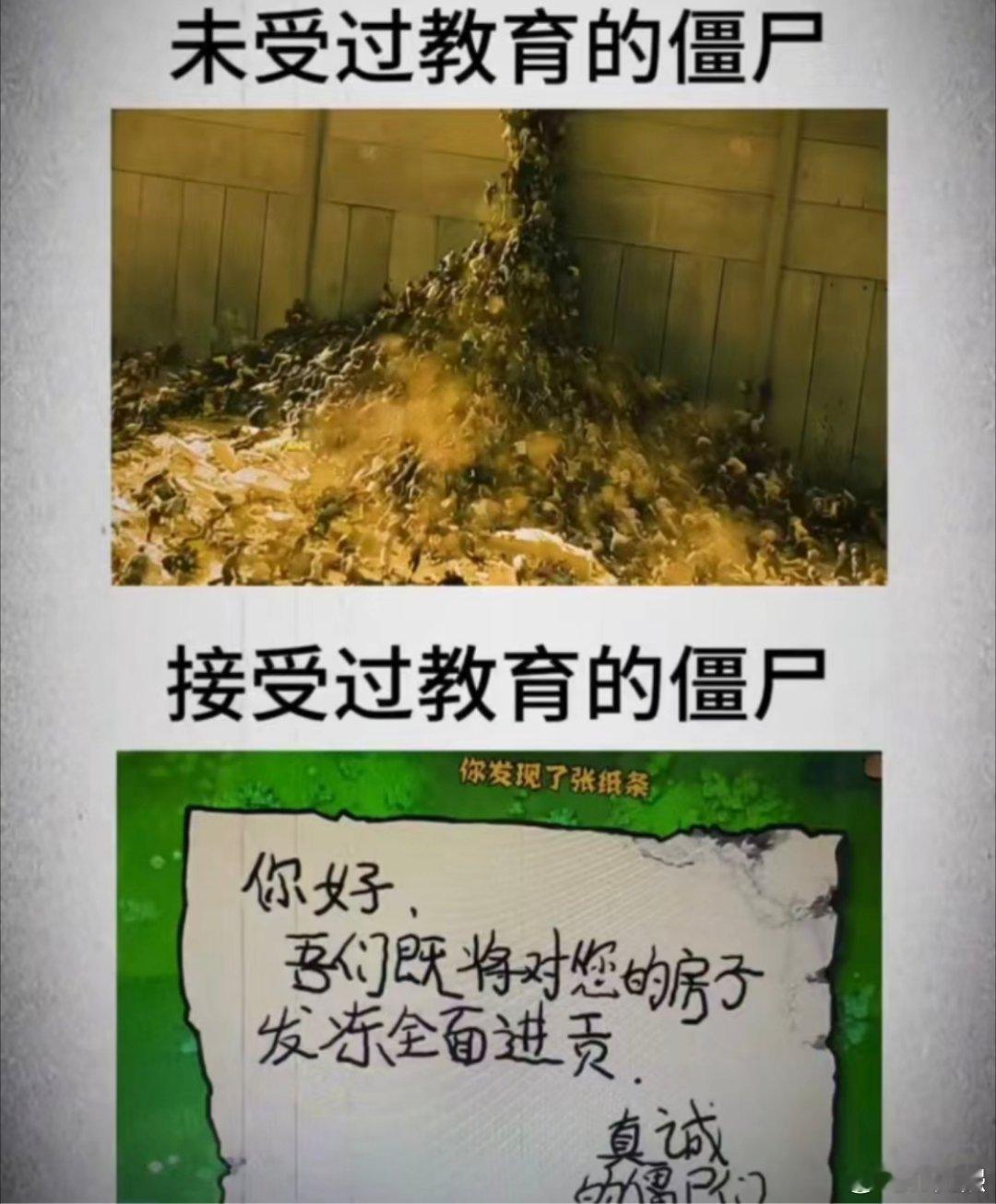 有知识但不多[允悲]《一年义务教育》 ​​​