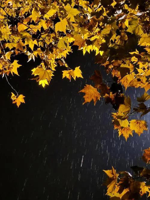 上联：晓梦清寒，深庭昨夜梧桐雨；
下联：诗友请[玫瑰][玫瑰]
#诗与画对联小组