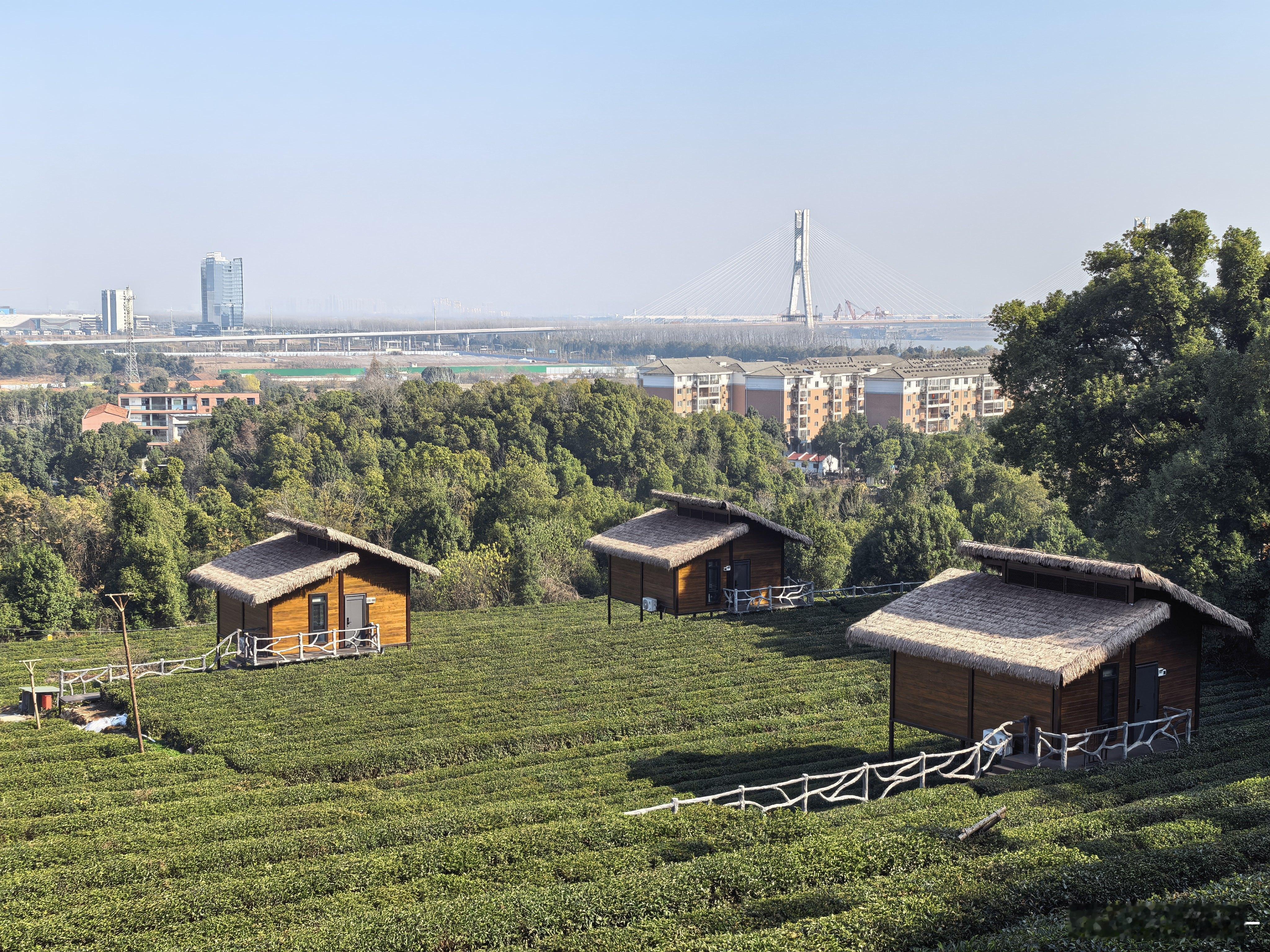 武汉的小茶园，一看这种状态还是南方惬意虽然冷点 武汉·龙湖社区一期
