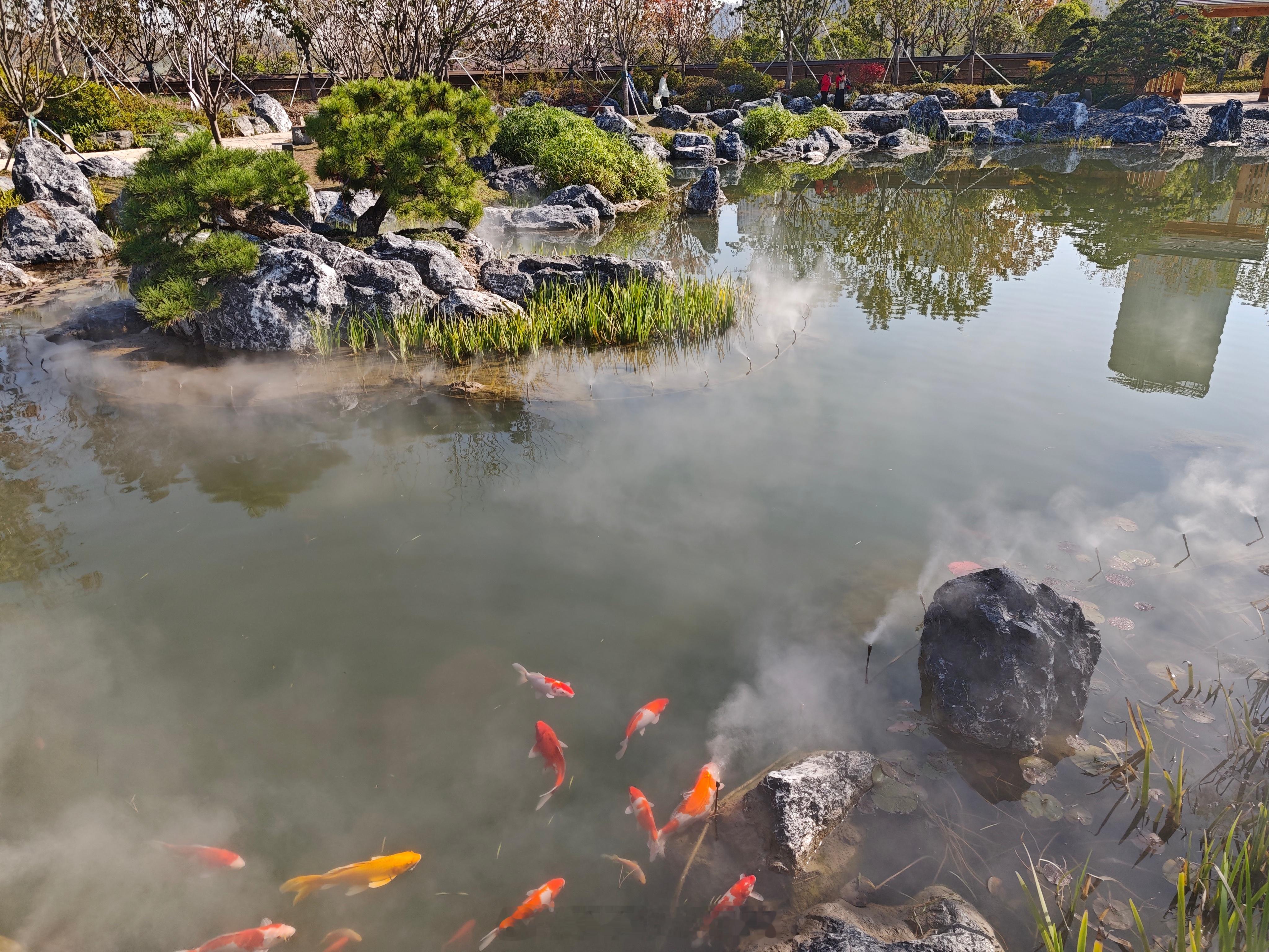 上海前滩这个世界花艺园太赞了[馋嘴] 一个鼻子里满是花香，另一个鼻子里满是人民币