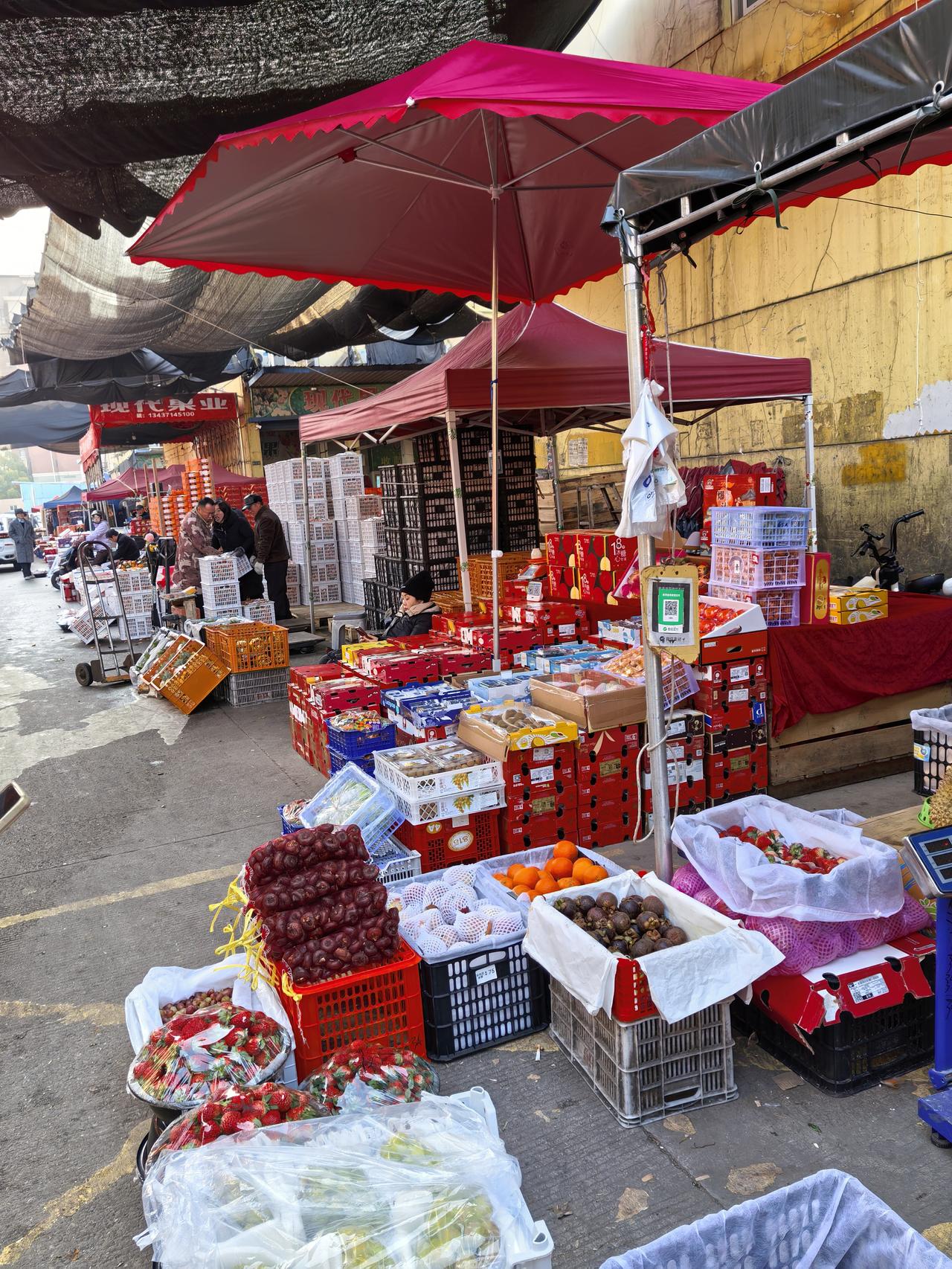 日本经济政策对民众生活影响显著。在农业方面，米价高企且政策反复，让农户苦不堪言。