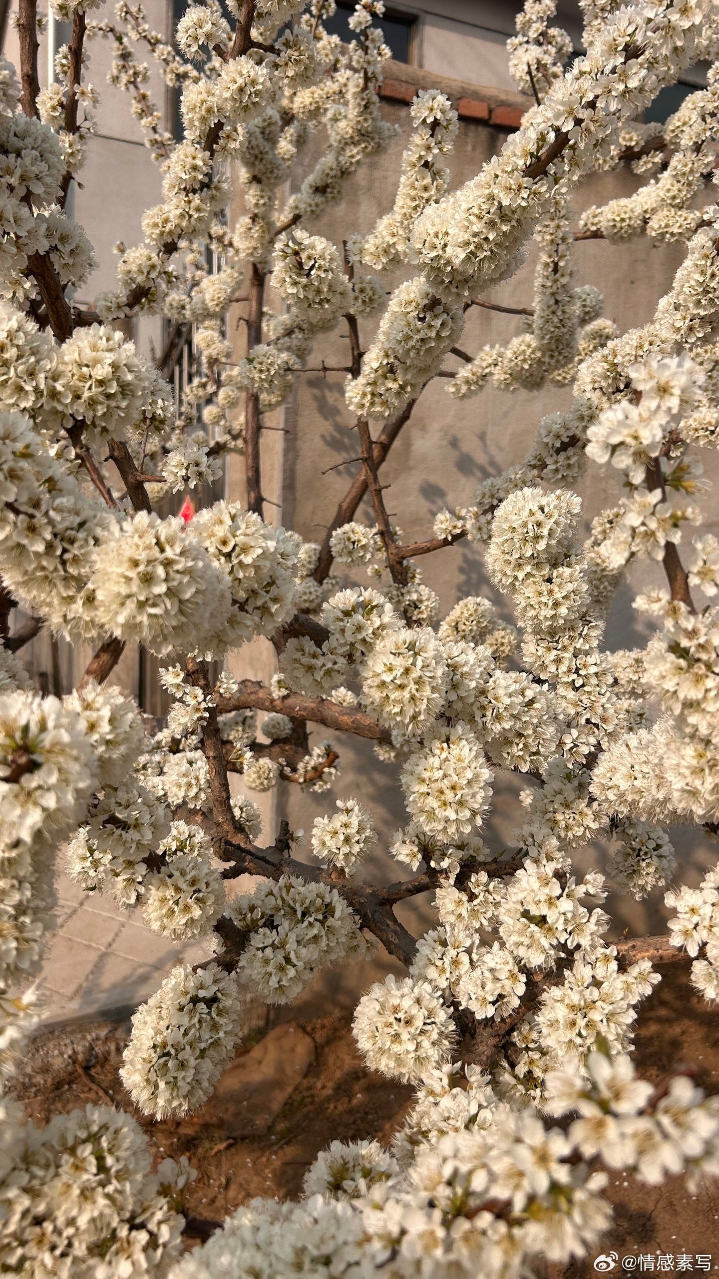 情感 有人爱而不得，有人得而不惜，后来我才明白，世间万物的来和去他都有他的时间，
